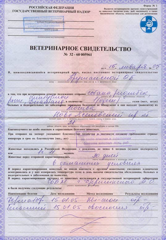 Ветеринарная справка форма №1 Ветеринарная справка форма №1